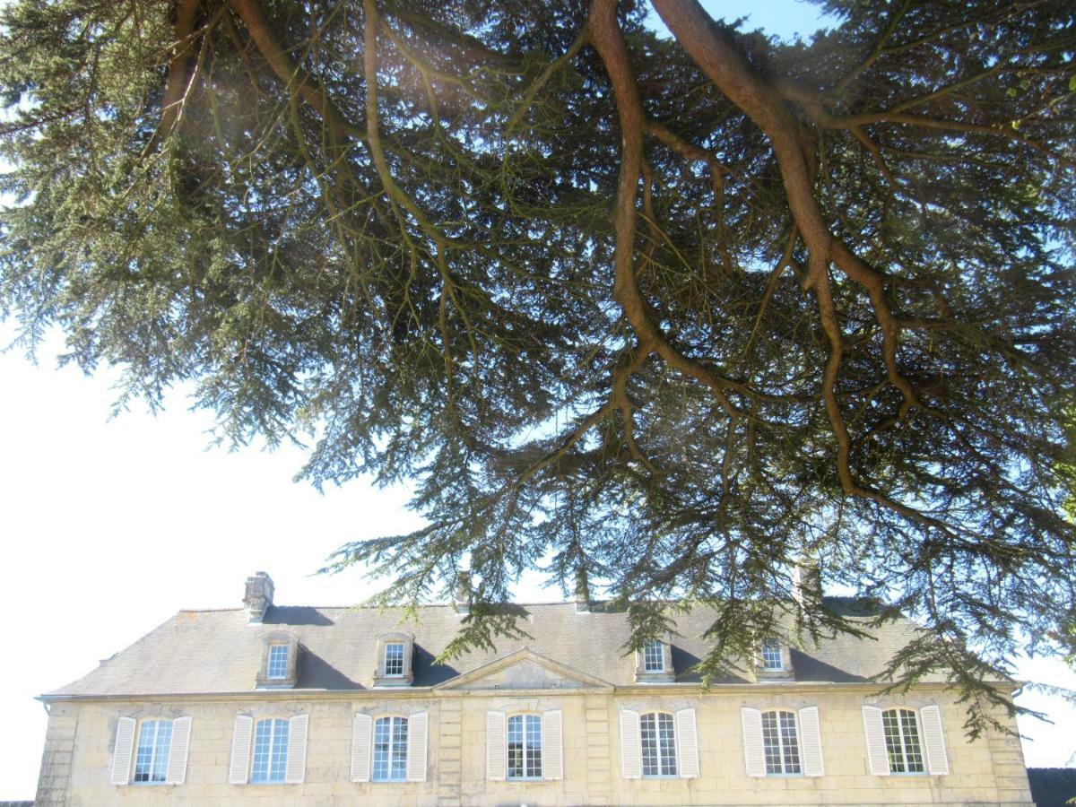 Bed & Breakfast Chateau Les Cedres Bretteville-l'Orgueilleuse Exterior foto