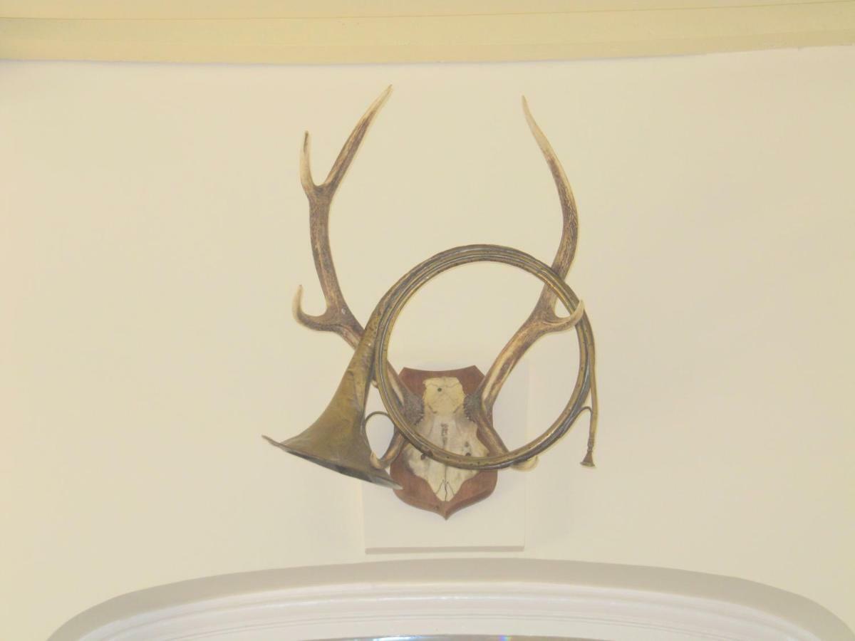 Bed & Breakfast Chateau Les Cedres Bretteville-l'Orgueilleuse Exterior foto